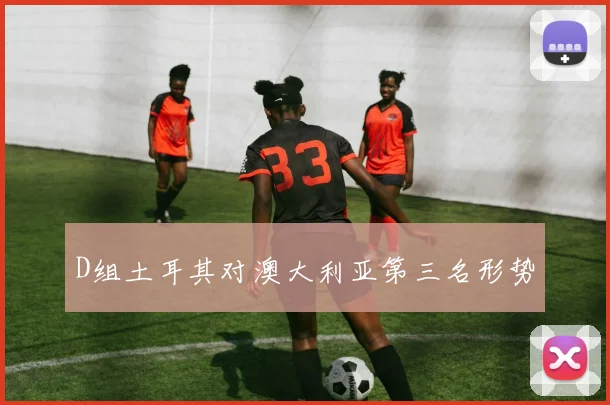 D组土耳其对澳大利亚第三名形势