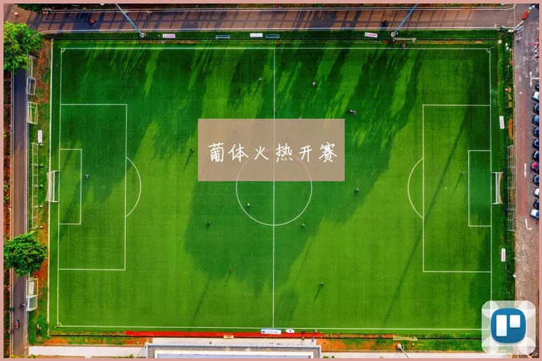 葡体火热开赛