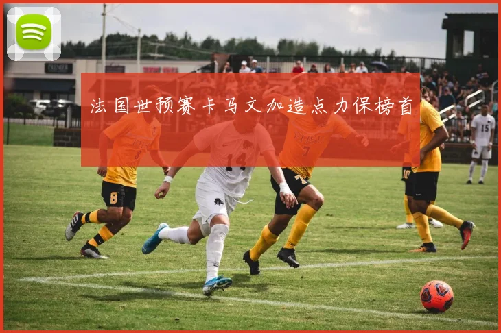 法国世预赛卡马文加造点力保榜首