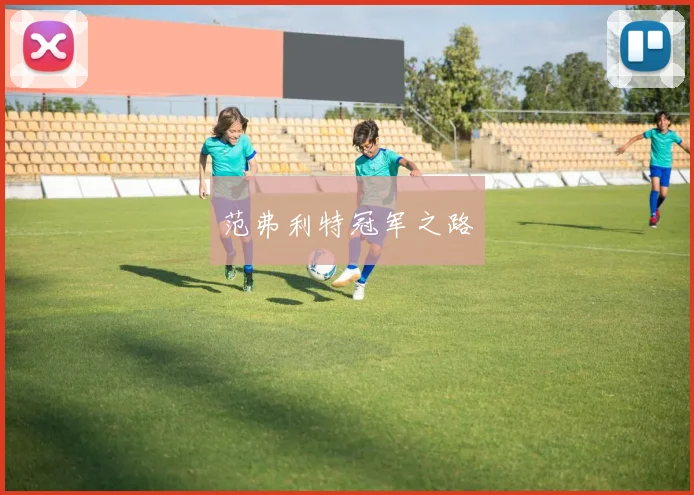 范弗利特冠军之路