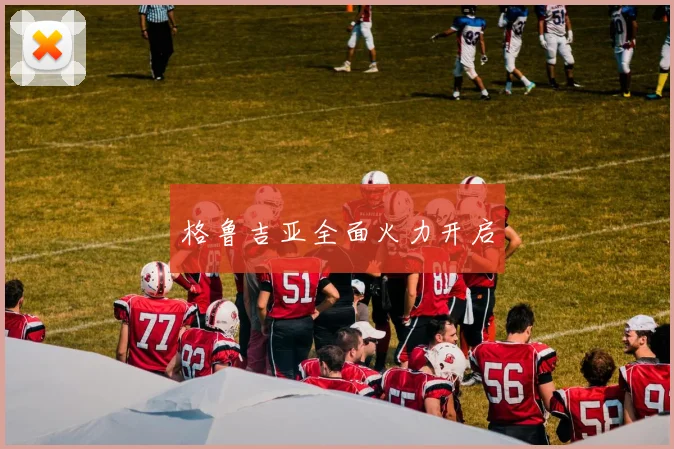 格鲁吉亚全面火力开启