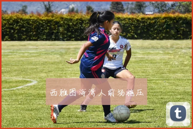 西雅图海湾人前场施压