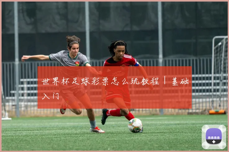 世界杯足球彩票怎么玩教程|基础入门