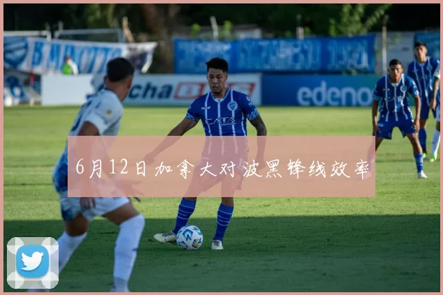 6月12日加拿大对波黑锋线效率