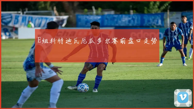 E组科特迪瓦厄瓜多尔赛前盘口走势
