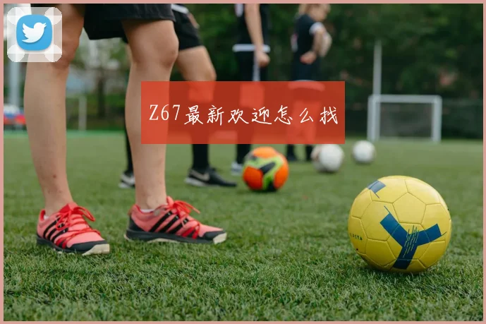 Z67最新欢迎怎么找